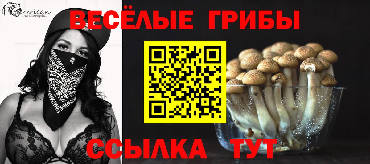 Галлюциногенные грибы мицелий  купить наркотики сайты  Серов  Вход с VPN 
